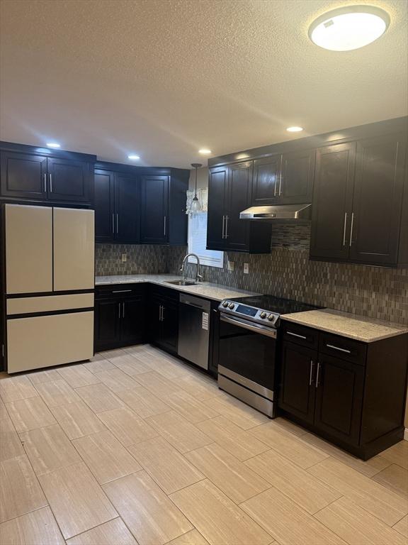 kitchen with stainless steel appliances, tasteful backsplash, a sink, dark cabinets, and under cabinet range hood