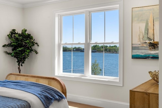 18 Franklin Unit 202, Salem, MA 01970 - bedroom with baseboards, crown molding, a water view, and wood finished floors