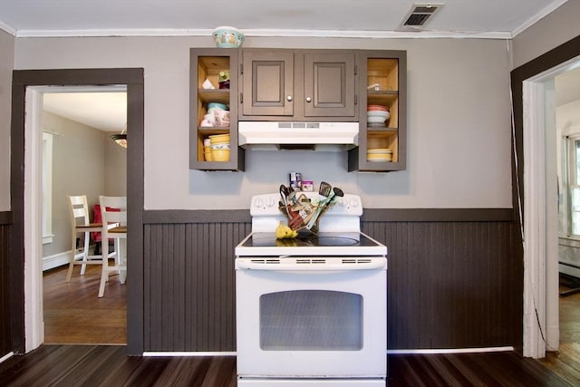 31 E St, Stafford, CT 06076 - kitchen with under cabinet range hood, white electric stove, crown molding, dark wood-type flooring, and wainscoting
