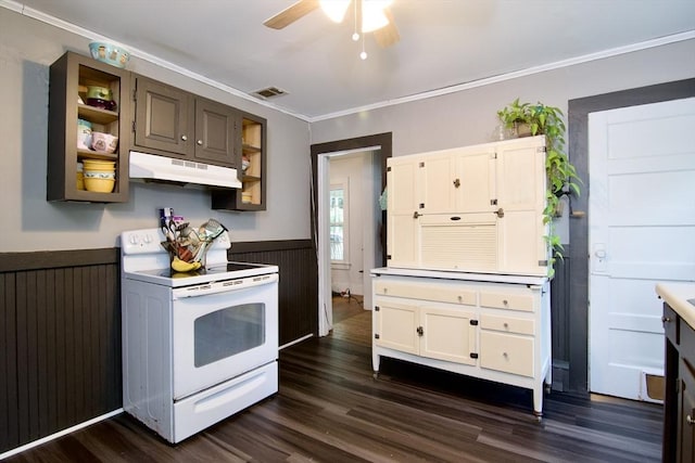 31 E St, Stafford, CT 06076 - kitchen featuring white range with electric stovetop, under cabinet range hood, dark wood-style flooring, wainscoting, and ceiling fan