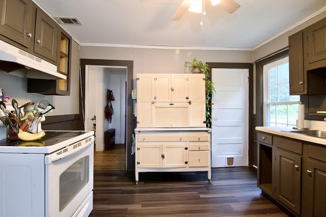 31 E St, Stafford, CT 06076 - kitchen featuring white electric stove, ornamental molding, dark wood-style flooring, under cabinet range hood, and a ceiling fan