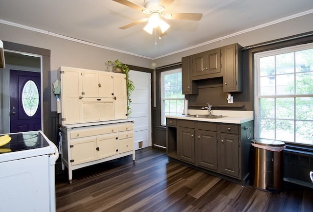 31 E St, Stafford, CT 06076 - kitchen with ceiling fan, dark wood-style floors, white electric range oven, light countertops, and crown molding