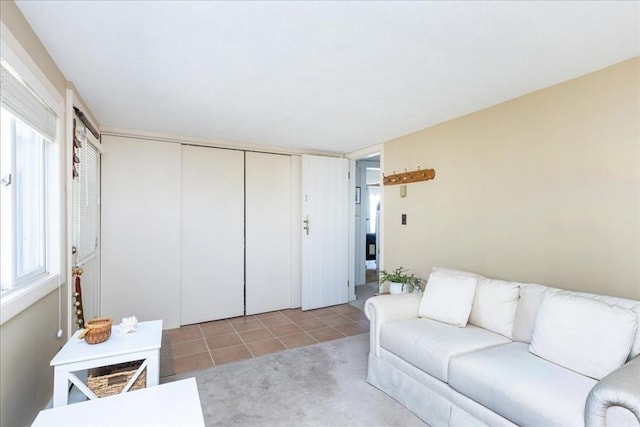 113 N Ridge Rd, Ipswich, MA 01938 - living room with tile patterned floors and carpet floors
