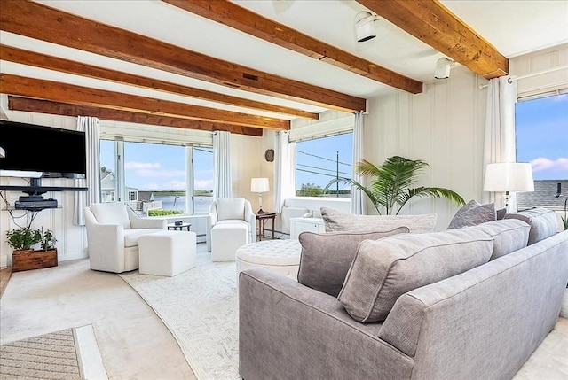 113 N Ridge Rd, Ipswich, MA 01938 - living area with beamed ceiling