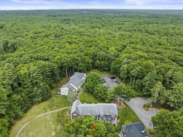547 Washington St Unit B13, Pembroke, MA 02359 - view of property location with a forest