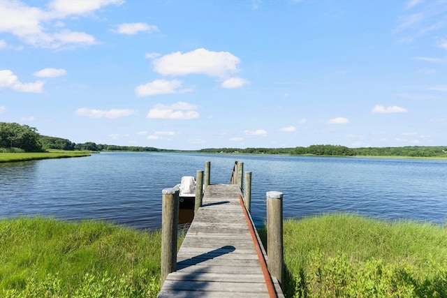 dock area with a water view