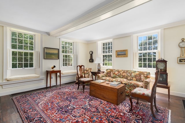 living room featuring hardwood / wood-style floors and ornamental molding