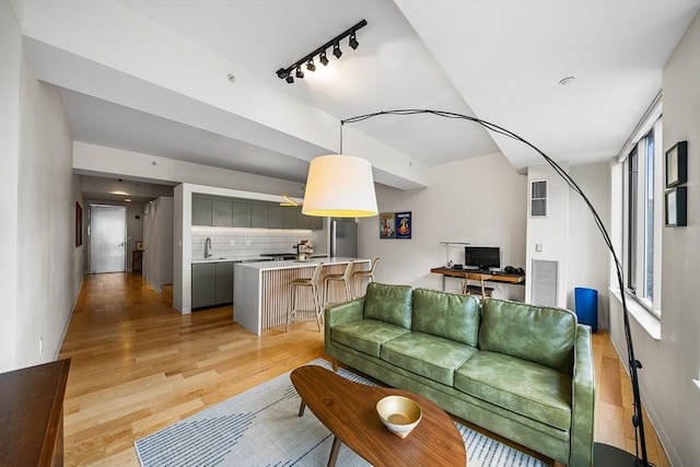 1313 Washington St Unit 309, Boston, MA 02118 - living room featuring rail lighting and light wood-style flooring