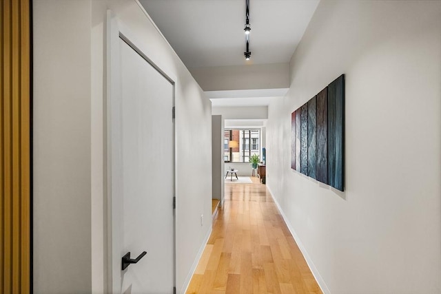1313 Washington St Unit 309, Boston, MA 02118 - hallway with light wood finished floors and baseboards
