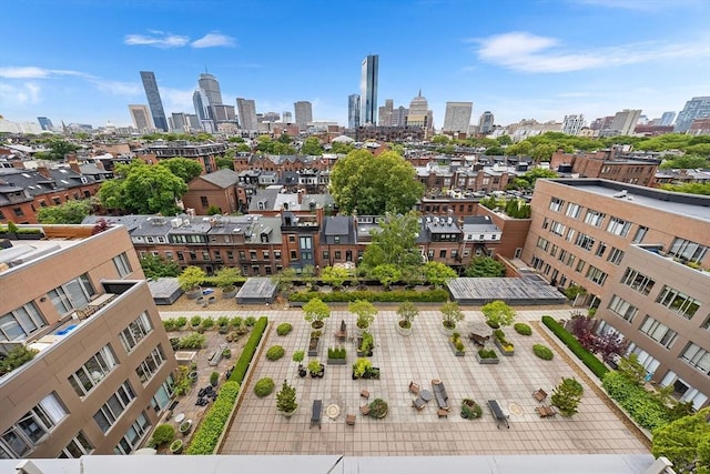 1313 Washington St Unit 309, Boston, MA 02118 - view of city skyline