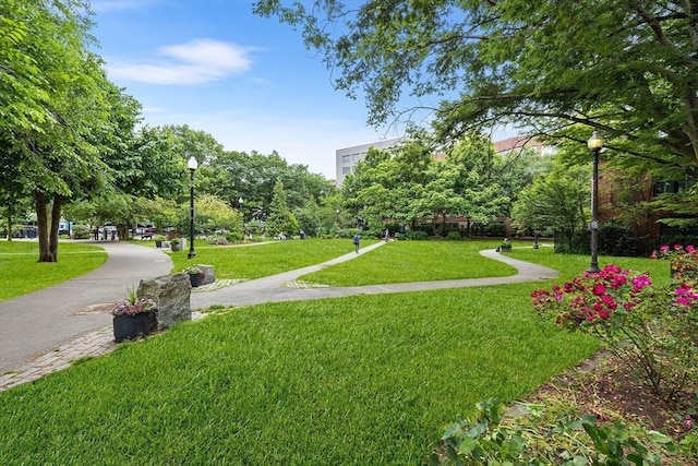 1313 Washington St Unit 309, Boston, MA 02118 - view of home's community with a yard