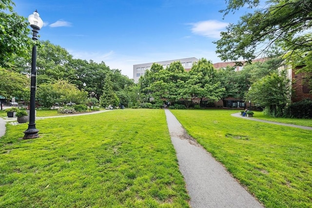 1313 Washington St Unit 309, Boston, MA 02118 - view of community with a yard
