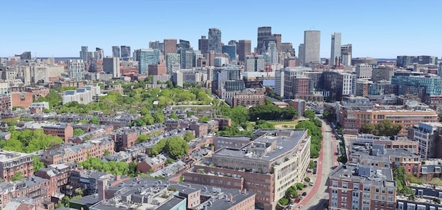 1313 Washington St Unit 309, Boston, MA 02118 - view of city skyline