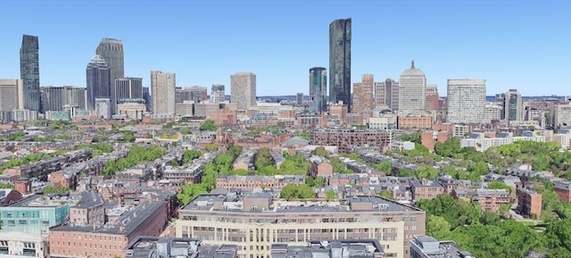 1313 Washington St Unit 309, Boston, MA 02118 - view of city skyline