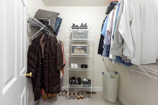 view of spacious closet