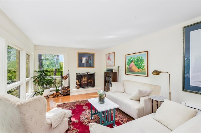 living room with wood finished floors and a lit fireplace