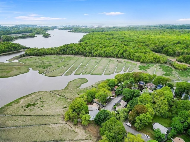 94 Clinton Rd, Weymouth, MA 02189 - aerial view of property and surrounding area featuring a large body of water and a heavily wooded area
