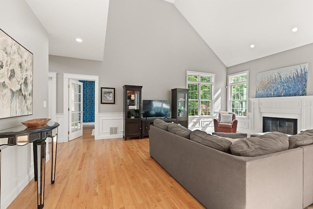 45 Anselm Way, Sudbury, MA 01776 - living room featuring high vaulted ceiling, light wood-style flooring, a glass covered fireplace, a wainscoted wall, and a decorative wall