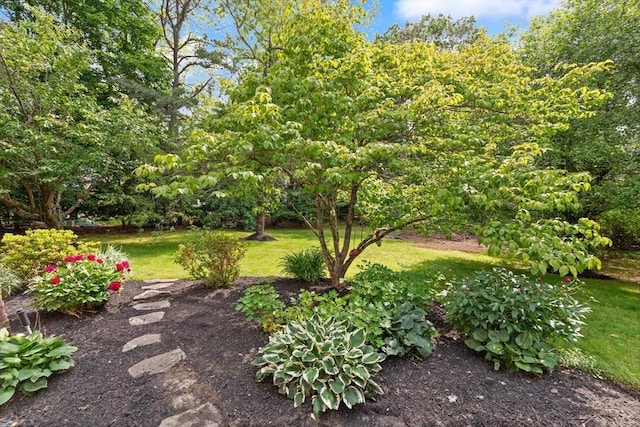 45 Anselm Way, Sudbury, MA 01776 - view of green lawn