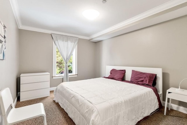 5 Brigham St Unit 1, Boston, MA 02128 - bedroom with carpet, ornamental molding, and baseboards
