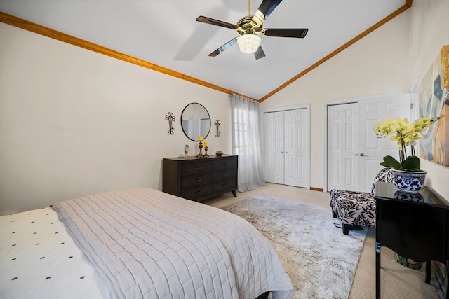 bedroom with ceiling fan, ornamental molding, high vaulted ceiling, and multiple closets