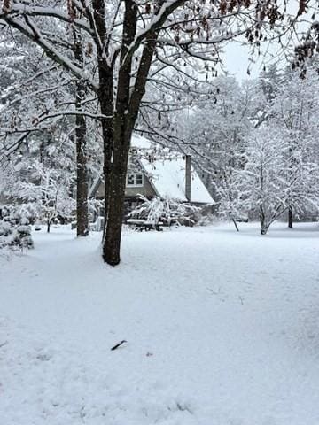 view of yard layered in snow