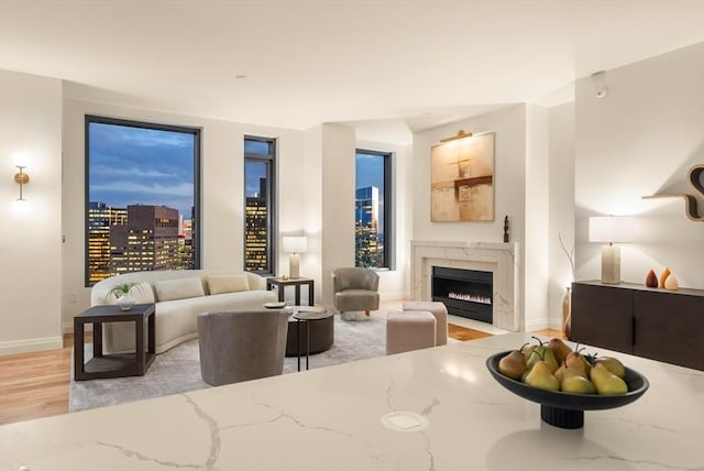 living room featuring a fireplace and light hardwood / wood-style flooring