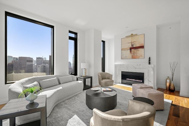 living room featuring a premium fireplace and light wood-type flooring