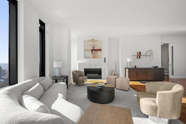 living room featuring hardwood / wood-style floors and a premium fireplace