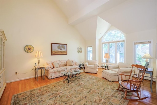 8 Fieldstone Ln, Natick, MA 01760 - living area featuring high vaulted ceiling, baseboards, wood finished floors, and a wealth of natural light