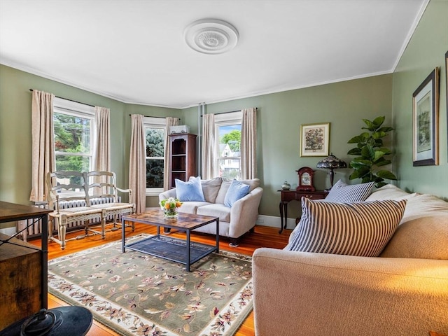 28 Albano St, Boston, MA 02131 - living area with wood finished floors and ornamental molding