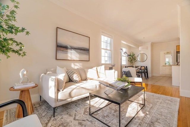 living room with light hardwood / wood-style flooring