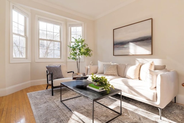 living room with crown molding and hardwood / wood-style flooring