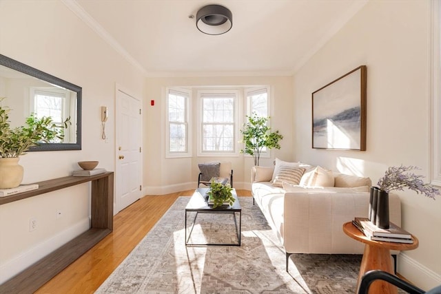 living room featuring light wood-type flooring and ornamental molding