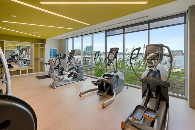 workout area featuring floor to ceiling windows, a view of city, and wood finished floors