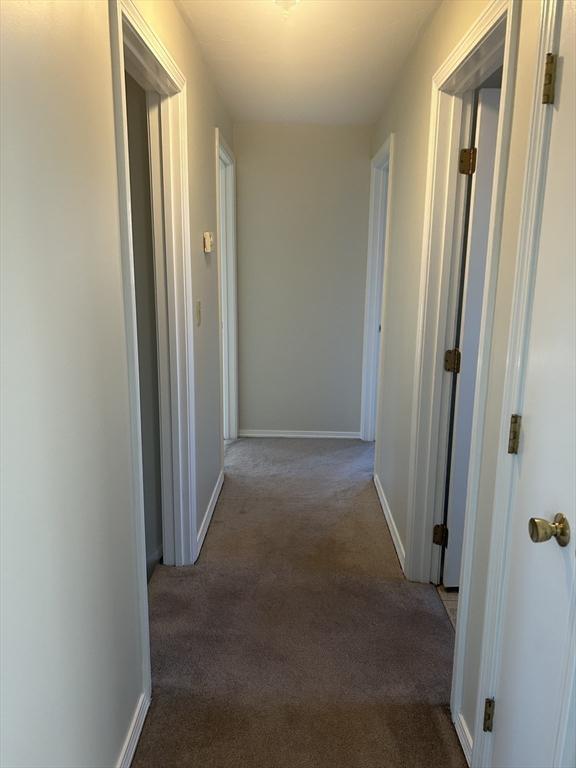 corridor with carpet and baseboards