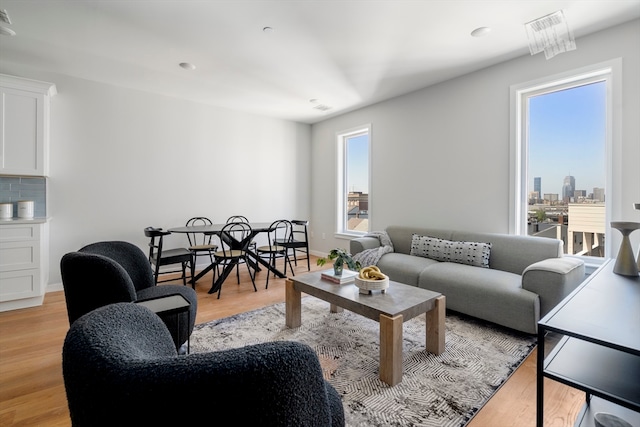 living room featuring light hardwood / wood-style flooring and a healthy amount of sunlight