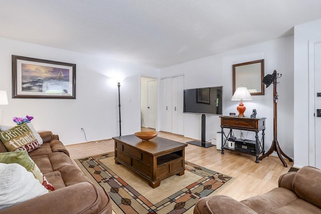 120 Litchfield Pines Dr Unit A, Leominster, MA 01453 - living area with light wood-style floors