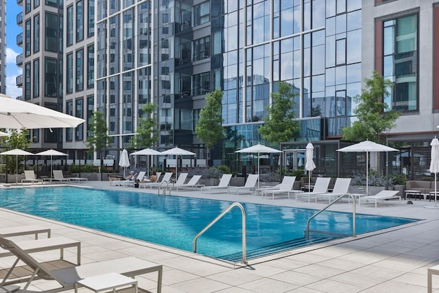 view of swimming pool with a patio