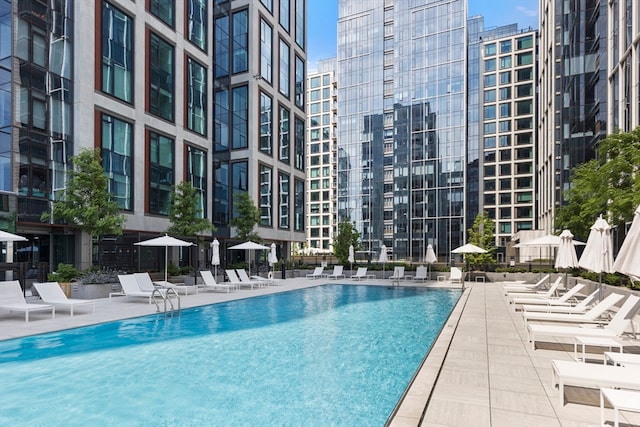 view of swimming pool featuring a patio area