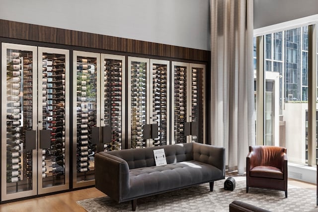 wine cellar with light hardwood / wood-style flooring