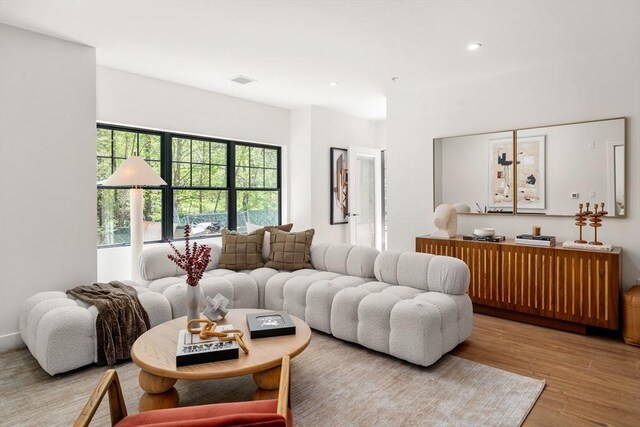 20 Audubon Way Unit 409, Canton, MA 02021 - living room with wood finished floors and recessed lighting