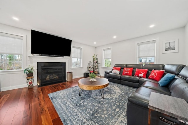 living room featuring a wealth of natural light, a glass covered fireplace, baseboards, and wood finished floors