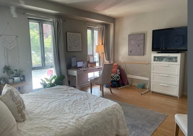 691 Massachusetts Ave Unit 102, Boston, MA 02118 - bedroom with multiple windows and wood finished floors