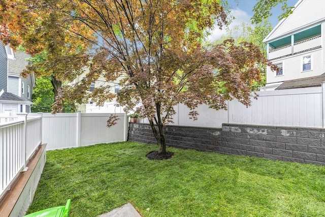 view of yard