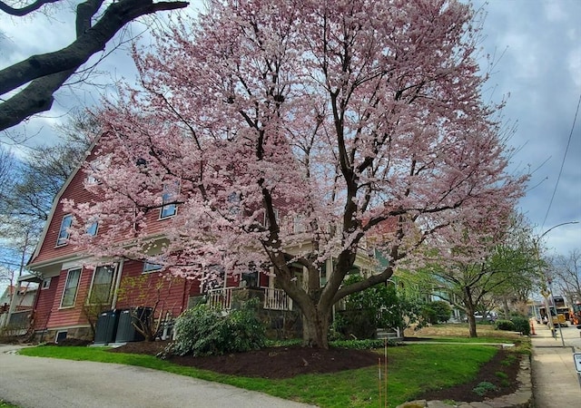 view of front of house with a gambrel roof and a front yard