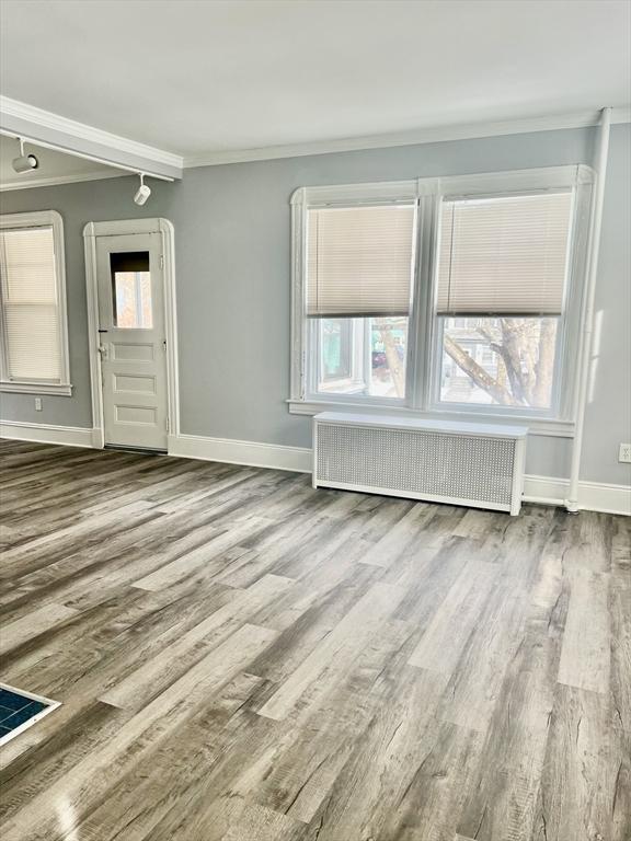 unfurnished room featuring radiator, plenty of natural light, and wood finished floors