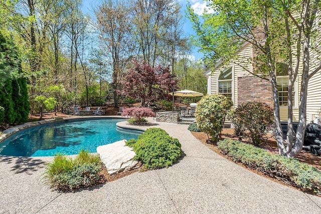 outdoor pool featuring a patio area