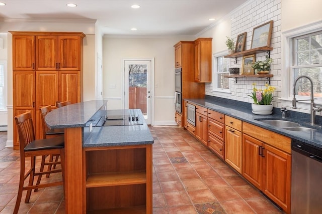 kitchen with a sink, a healthy amount of sunlight, appliances with stainless steel finishes, and open shelves