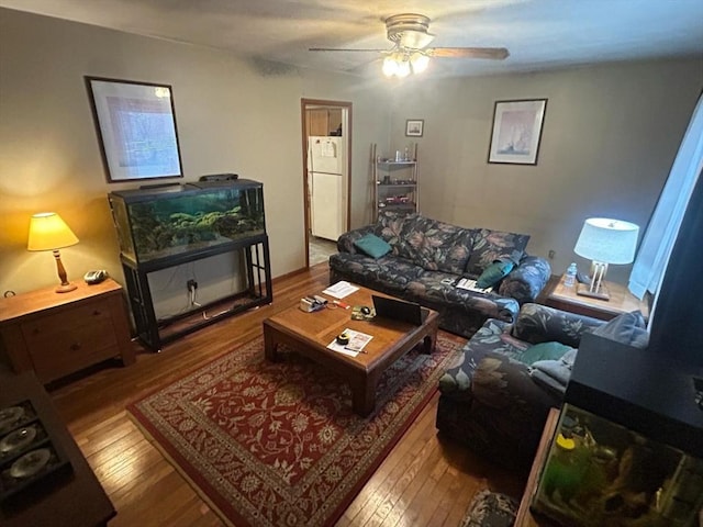 living room with wood-type flooring and a ceiling fan